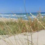 Dune2