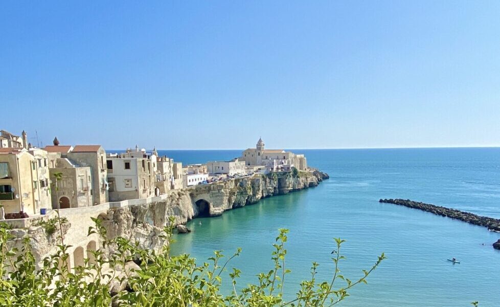 DJI 20210813 094107 295 978x1024